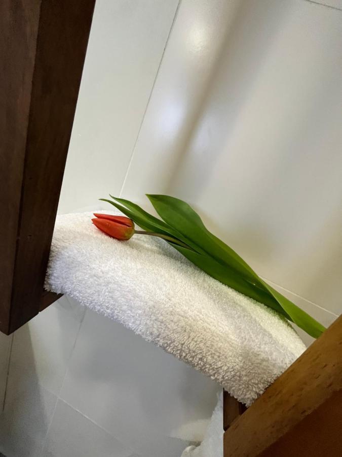 Apartma Ksela Mala Nedelja المظهر الخارجي الصورة