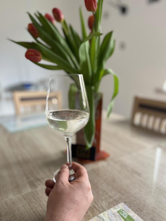Apartma Ksela Mala Nedelja المظهر الخارجي الصورة